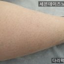 세븐노은 이미지