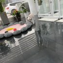 쭈니살롱 이미지