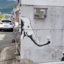 사림동296 이미지