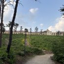 해맞이식당 이미지