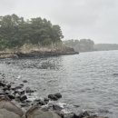 소남머리 이미지