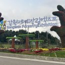 10월 강원도 축제 고성 가볼만한곳 2023 강원세계산림엑스포 입장료 및 후기