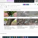 생명과학교육연구회 이미지