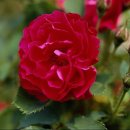 이나마트 이미지