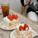 디박스 | 생일케이크 디자인초 아트박스 깜짝부채초 구매 후기, 신박템!