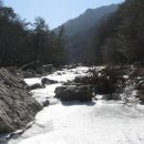 꿈꾸는유배지늡다리 이미지