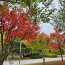 밀양댐생태공원 | 밀양 밀양댐 생태공원 아이랑 가기 좋은 산책지