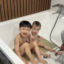 제주조우아 조수 이미지