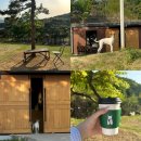 소3-45 | 용인애견운동장 용인애견카페 테일45 / 프라이빗 대관 &amp; 애견운동장 후기