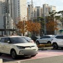 (주)수웅 | 집 확장 세게 들어가는 토마 / 근데 이제 성별은??? 젠더리빌케이크 만들기( 13 - 17주 )