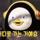 시에스타 이미지