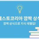 TES안전가스