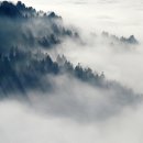 세무법인큐원 - 금천구 가산디지털1로 225 | 세무법인큐원