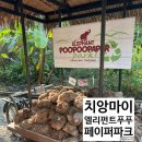 치앙마이 엘리펀트 푸푸 페이퍼 파크 - 아이와 함께 하기 좋은 치앙마이 액티비티🐘✨