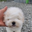 오성가든 이미지