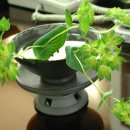 반구어린이집 이미지