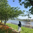 유나네농원 | 순천 봄나들이🍃 2023국제정원박람회, 대숲골 농원