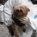 예서 동물병원 이미지