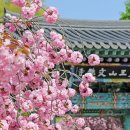 문수사(서산)