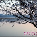 낙동식당 이미지