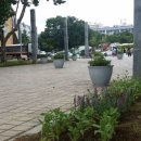 성포예술광장 이미지