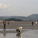 월하성어촌체험휴양마을 이미지