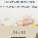 반려동물보감연구소 이미지