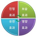 임브레이스 이미지