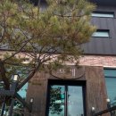 세종 숲뷰 레스토랑 뜨레 후기 - 스테이크, 알리오올리오, 해물리조또
