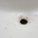 파인힐오피스텔 이미지