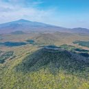 남조로사려니숲길 앞 이미지