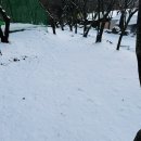마루한캠핑장 | [캠핑기록] 21th 전남 캠핑장 추천 아이들 놀 거리가 많은 담양 마루한캠핑장(25.1.10-12)
