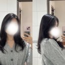 (salon watch)살롱워치