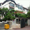 강남-115 이미지