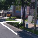 코코마리(coco mari) 이미지