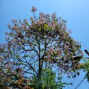 주공5단지 4가 4 이미지