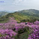 수도산 자연휴양림 이미지