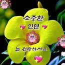 10월9일 K-컬처 트렌드 이미지