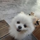 박*산 이미지