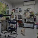 동물친구들 애견미용실 이미지