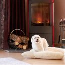 도그런하우스 이미지