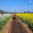 표선면-8 이미지