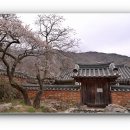 선암사 이미지