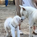 운곡목장 | [경주 강동] 운곡서원_ 운곡이를 만난 후기