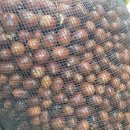 자매방앗간 이미지