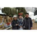 한우샘농장 이미지