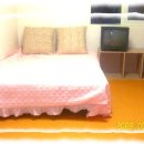 이대1번약국 Daum카페