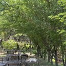 경희살힘한의원 이미지