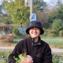 팜 라이프 이미지