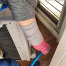 지엘리베리움 이미지